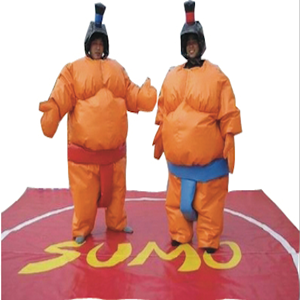 Sumo Ringen